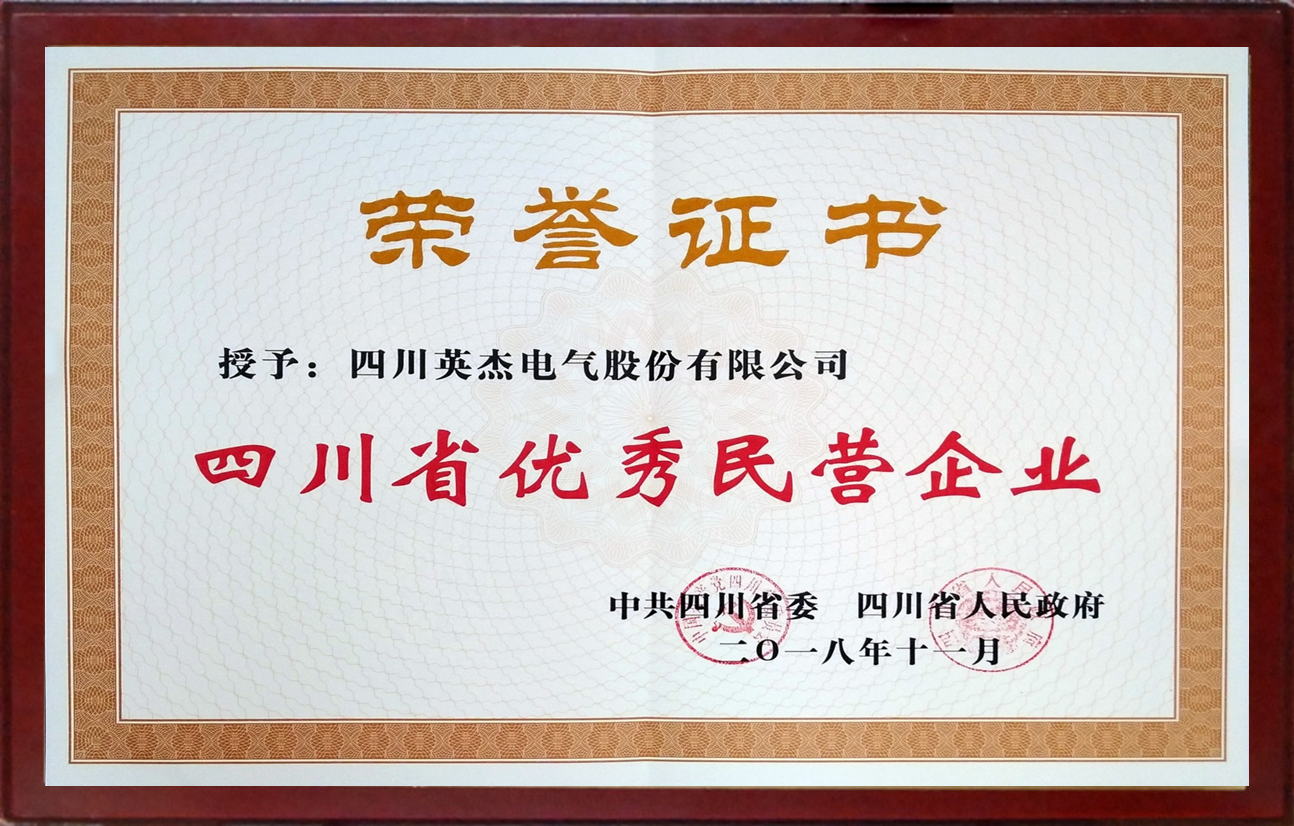 四川省優(yōu)秀民營(yíng)企業(yè)